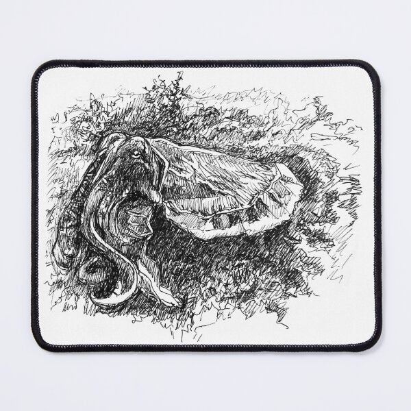 Item preview, Ink drawing of a Giant Cuttlefish designed and sold by GothicByNature.