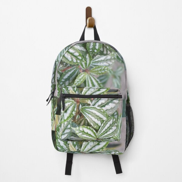 Item preview, green white plant leaf designed and sold by ichirochen.