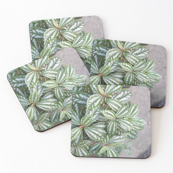 Item preview, green white plant leaf designed and sold by ichirochen.