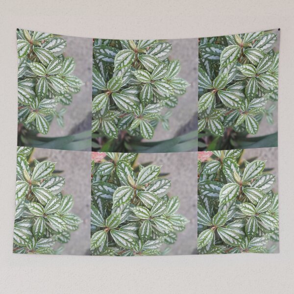 Item preview, green white plant leaf designed and sold by ichirochen.
