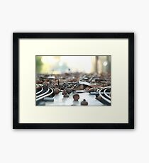 nature Framed Print