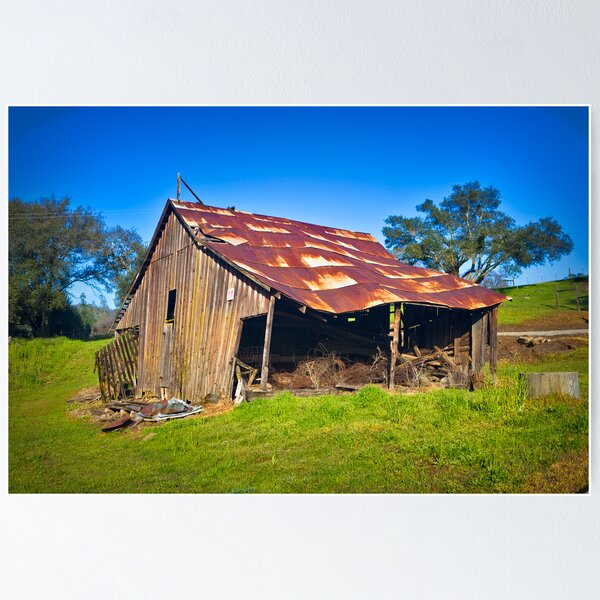 Item preview, Run Down But Not Out designed and sold by photosbyflood.
