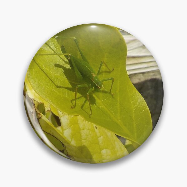 Item preview, Hidden In Plain Sight - Grasshopper On Leaf designed and sold by lezvee.