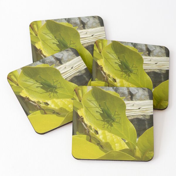 Item preview, Hidden In Plain Sight - Grasshopper On Leaf designed and sold by lezvee.