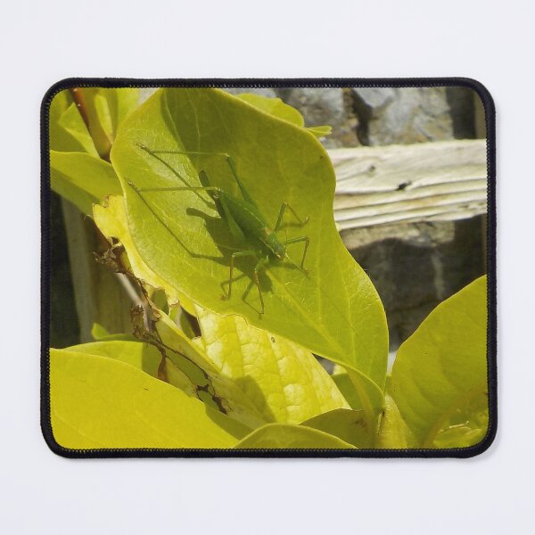 Item preview, Hidden In Plain Sight - Grasshopper On Leaf designed and sold by lezvee.