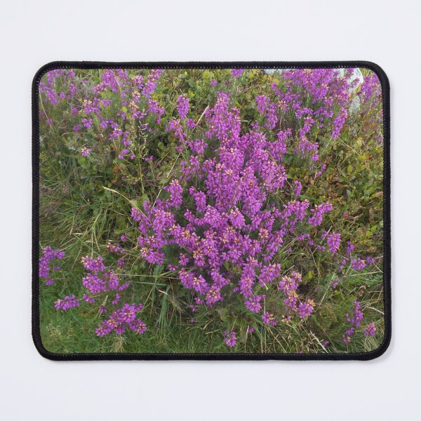 Item preview, Purple Heather On The Dartmoor National Park designed and sold by lezvee.