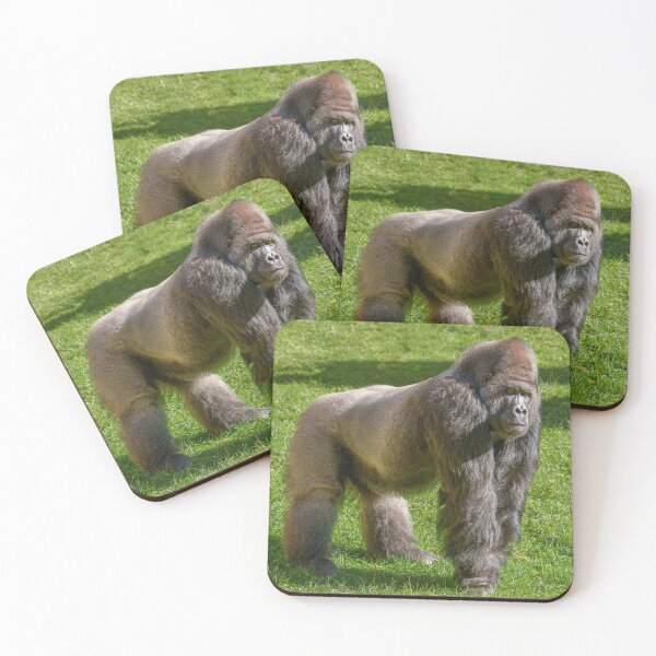 Item preview, Full Body Shot Silverback Batouri designed and sold by rawshutterbug.