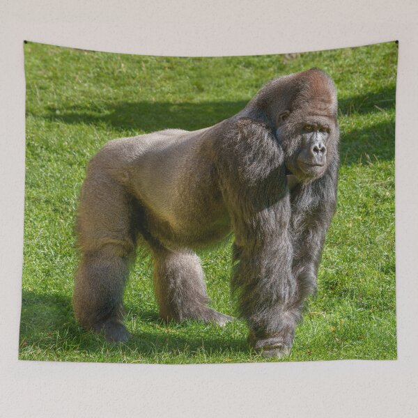 Item preview, Full Body Shot Silverback Batouri designed and sold by rawshutterbug.