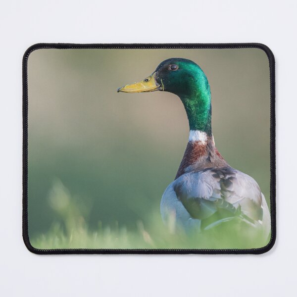 Item preview, mallard designed and sold by Ingo Gerlach.