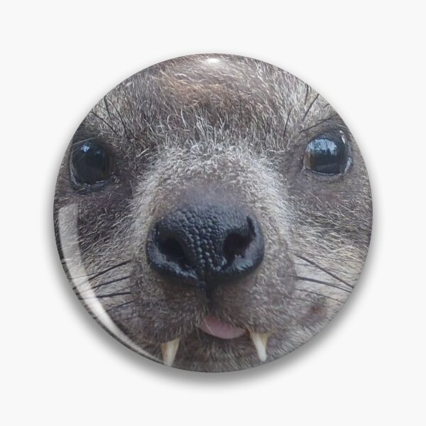 Item preview, Rock Hyrax Photo Cute Vampire Potato designed and sold by matchamoonshop.