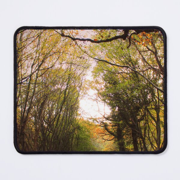 Item preview, Road Through The Trees designed and sold by Vicki Spindler (VHS Photography).