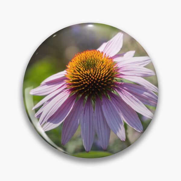 Item preview, Pale Purple Echinacea Coneflower in the Sunshine designed and sold by Georgia Mizuleva.