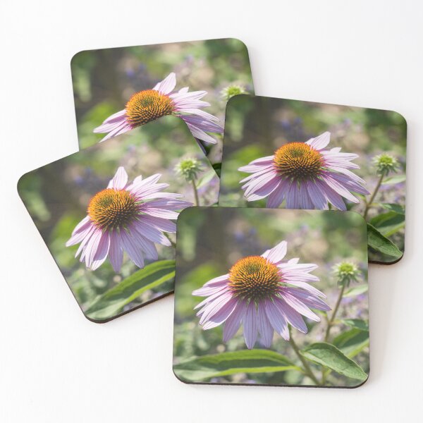 Item preview, Pale Purple Echinacea Coneflower in the Sunshine designed and sold by Georgia Mizuleva.