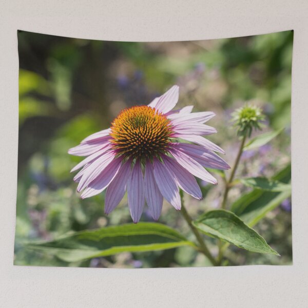Item preview, Pale Purple Echinacea Coneflower in the Sunshine designed and sold by Georgia Mizuleva.