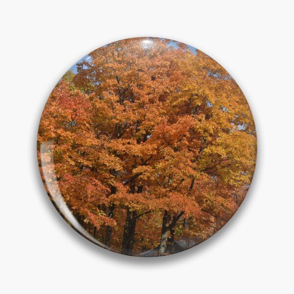Item preview, A maple grove in the fall designed and sold by Claude Laprise.