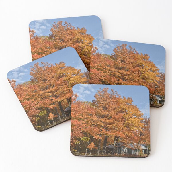 Item preview, A maple grove in the fall designed and sold by Claude Laprise.