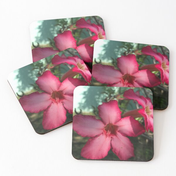Item preview, Adenium designed and sold by MissRedLady .