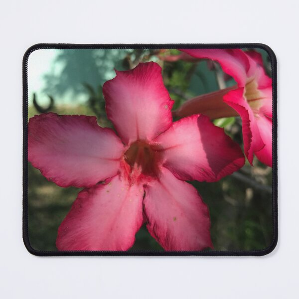 Item preview, Adenium designed and sold by MissRedLady .
