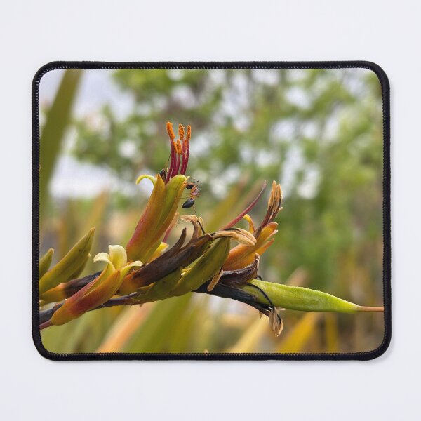 Item preview, Emerging designed and sold by Jan Stead JEMproductions.
