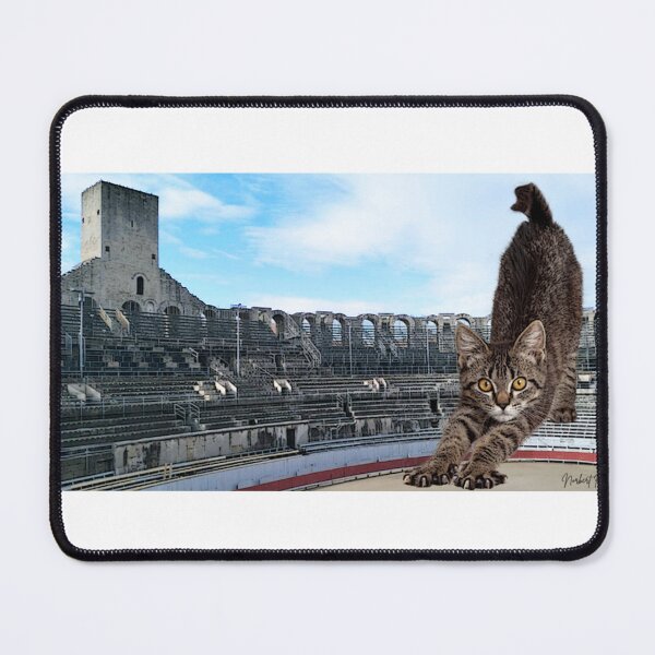 Item preview, a cat in the arena designed and sold by NorbertRicaud.