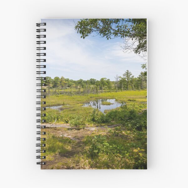 Item preview, Torrance Barrens Near Gravenhurst, ON 1 designed and sold by jrtwynam.