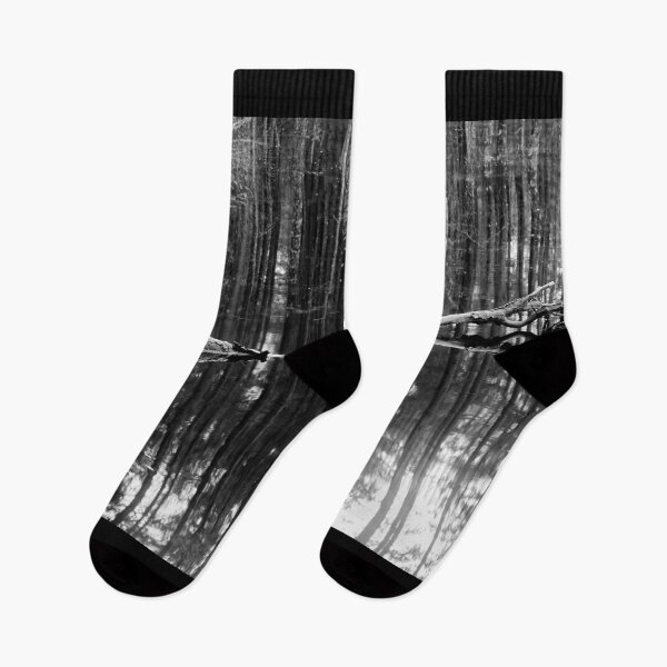 Item preview, Liesilampi. Seitseminen 2024 bw designed and sold by Jouko Lehto Photography.