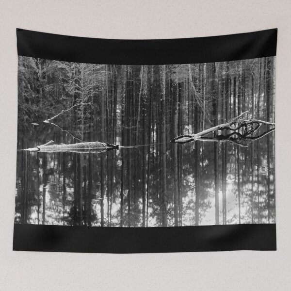 Item preview, Liesilampi. Seitseminen 2024 bw designed and sold by Jouko Lehto Photography.