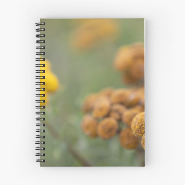 Item preview, Common tansy designed and sold by Calidris Fotografie Steffi & Ben Köppler.
