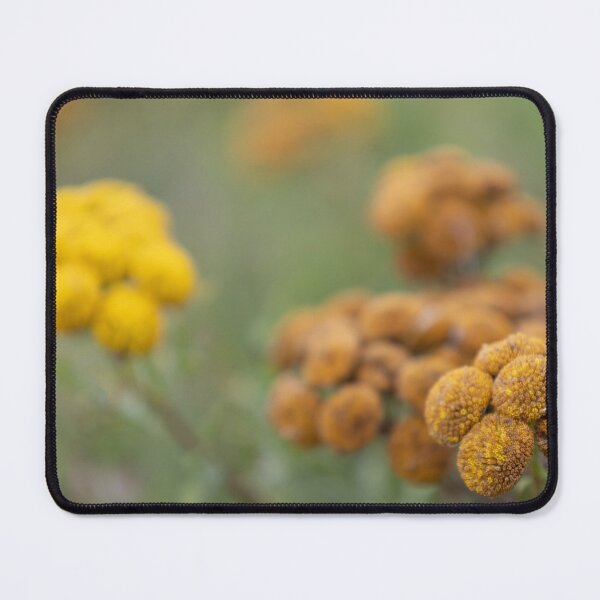 Item preview, Common tansy designed and sold by Calidris Fotografie Steffi & Ben Köppler.