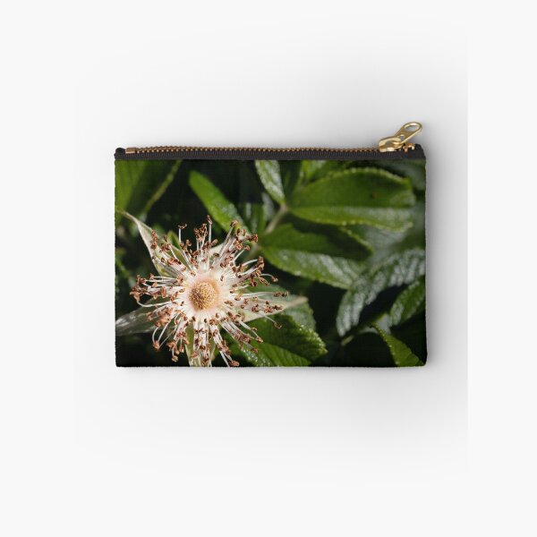 Item preview, Beach rose designed and sold by Calidris Fotografie Steffi & Ben Köppler.