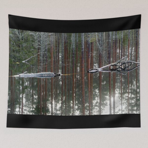 Item preview, Liesilampi. Seitseminen 2024 designed and sold by Jouko Lehto Photography.