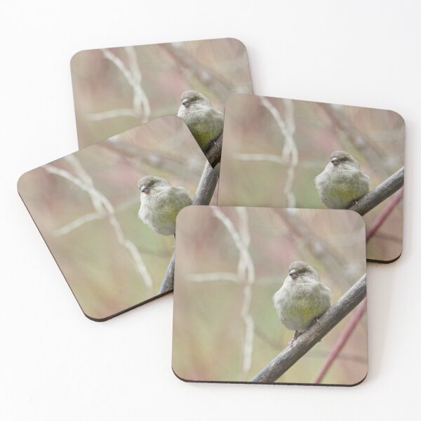 Item preview, Greenfinch simple 2 designed and sold by Jouko Lehto Photography.