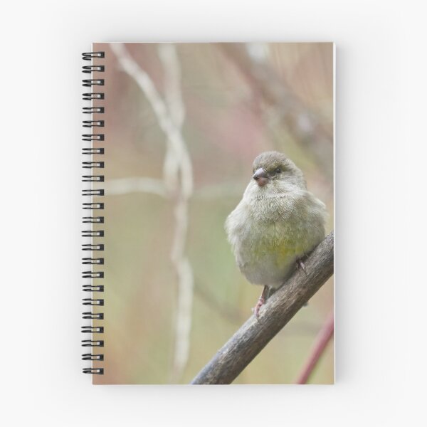 Item preview, Greenfinch simple 2 designed and sold by Jouko Lehto Photography.