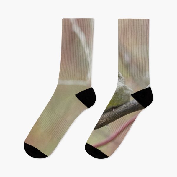 Item preview, Greenfinch simple 2 designed and sold by Jouko Lehto Photography.