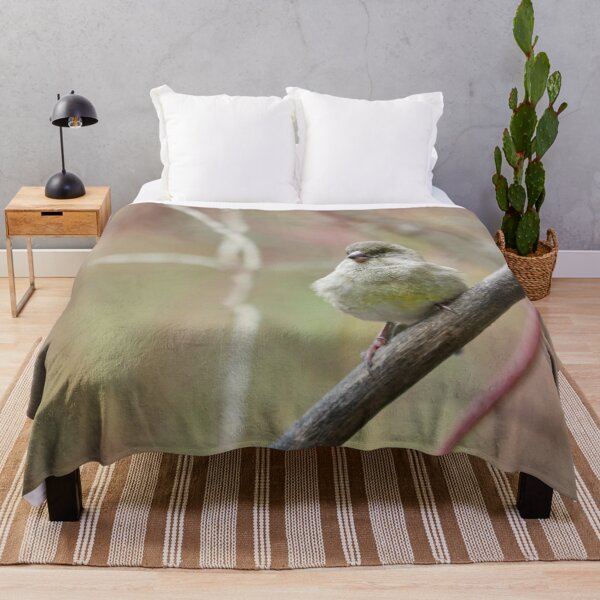 Item preview, Greenfinch simple 2 designed and sold by Jouko Lehto Photography.