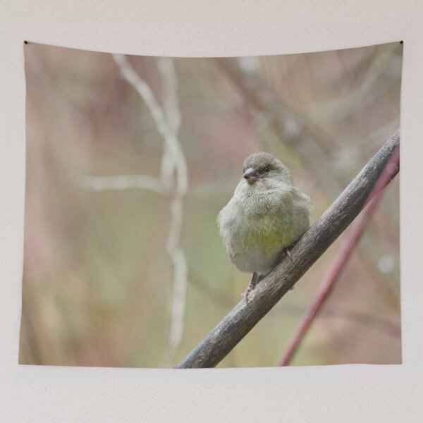 Item preview, Greenfinch simple 2 designed and sold by Jouko Lehto Photography.