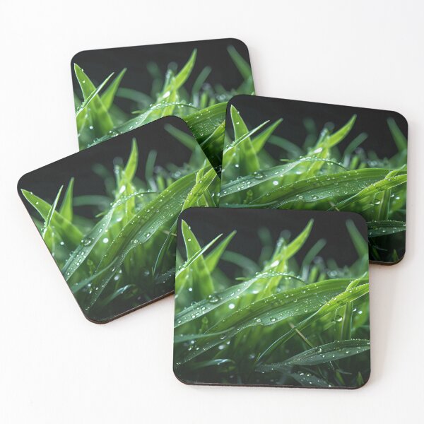 Aperçu de l'œuvre Microphotographie - Herbe créée et vendue par KootenayDesigns.