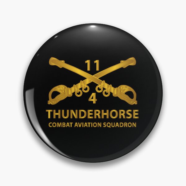 Item preview, Cbt Avn Squadron - 4th Squadron, 11th ACR - Branch w Txt X 300 designed and sold by Military Insignia Products.