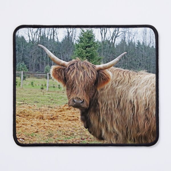 Item preview, Highland Cow designed and sold by Deb Oppermann.