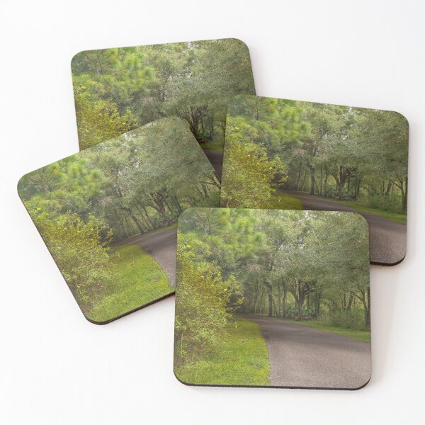 Item preview, New Tampa Nature Park the peaceful road winds through a lush green forest surrounded by dense trees and foliage designed and sold by EyezWatchin.