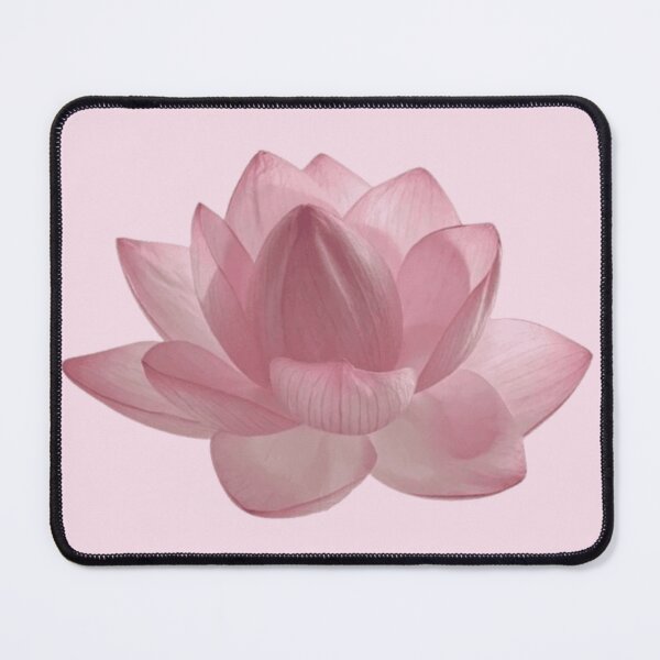 Item preview, pink lotus flower designed and sold by Ang3l-R0t.