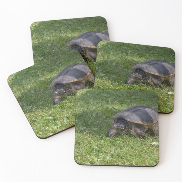 Item preview, Snapping Turtle on the Grass, Huntsville, ON 1 designed and sold by jrtwynam.