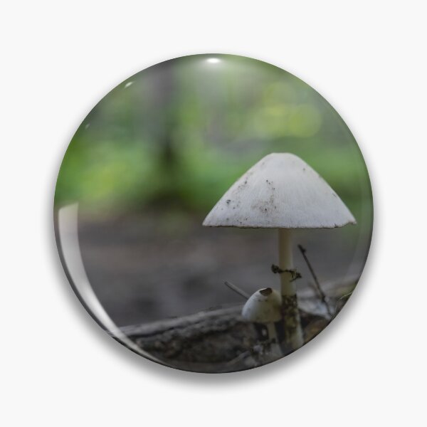 Item preview, Mushroom on a Forest Floor, Arrowhead, ON 3 designed and sold by jrtwynam.