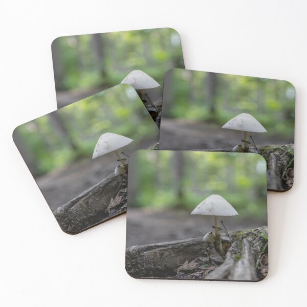 Item preview, Mushroom on a Forest Floor, Arrowhead, ON 3 designed and sold by jrtwynam.