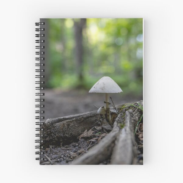 Item preview, Mushroom on a Forest Floor, Arrowhead, ON 3 designed and sold by jrtwynam.
