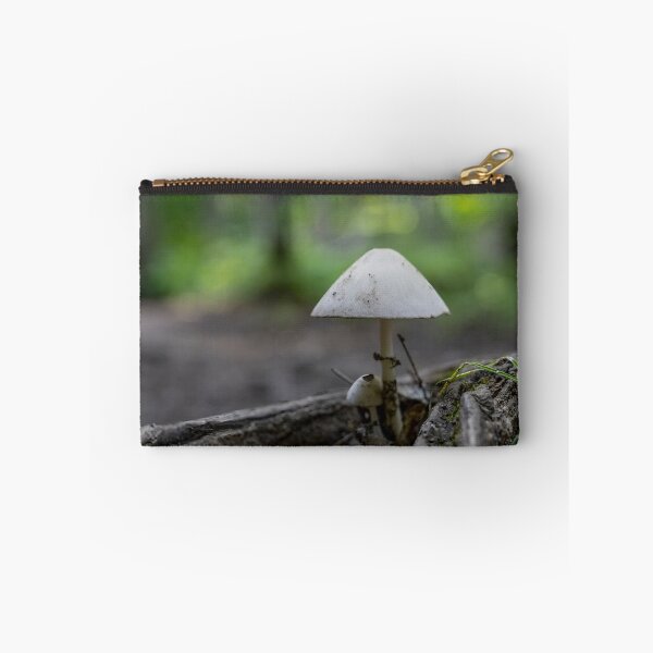 Item preview, Mushroom on a Forest Floor, Arrowhead, ON 3 designed and sold by jrtwynam.