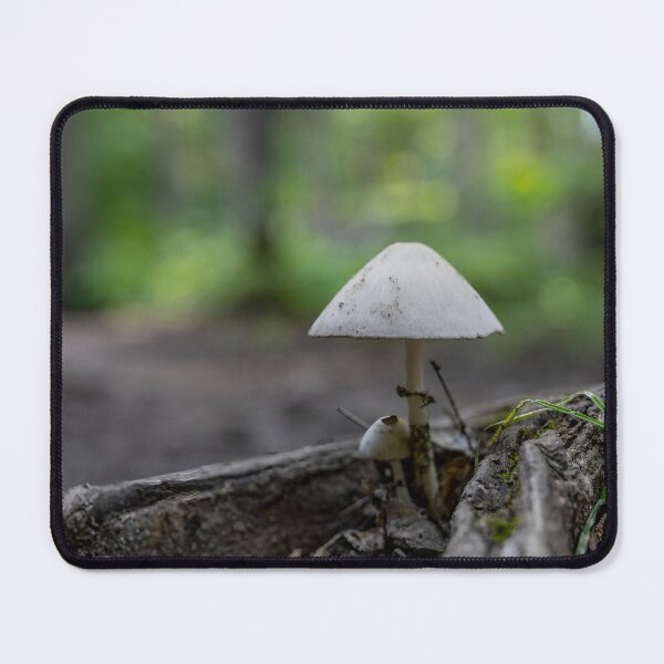 Item preview, Mushroom on a Forest Floor, Arrowhead, ON 3 designed and sold by jrtwynam.