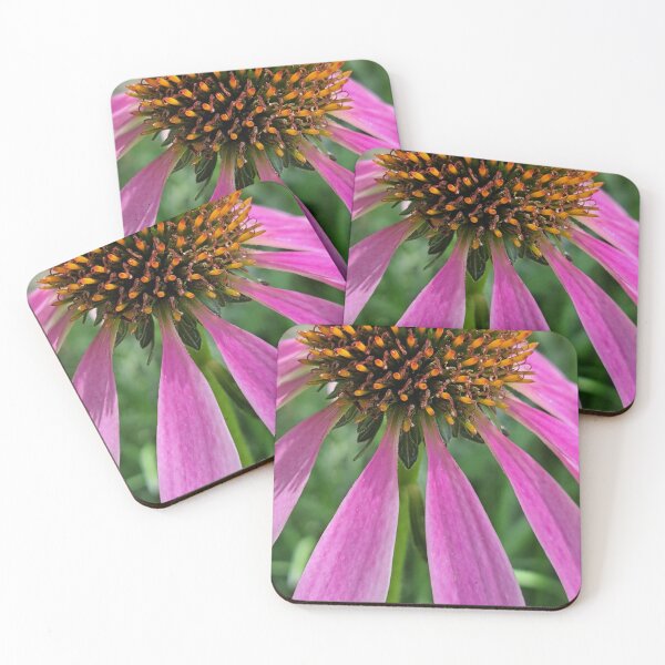 Item preview, Echinacea purple coneflower  designed and sold by RoosterD.