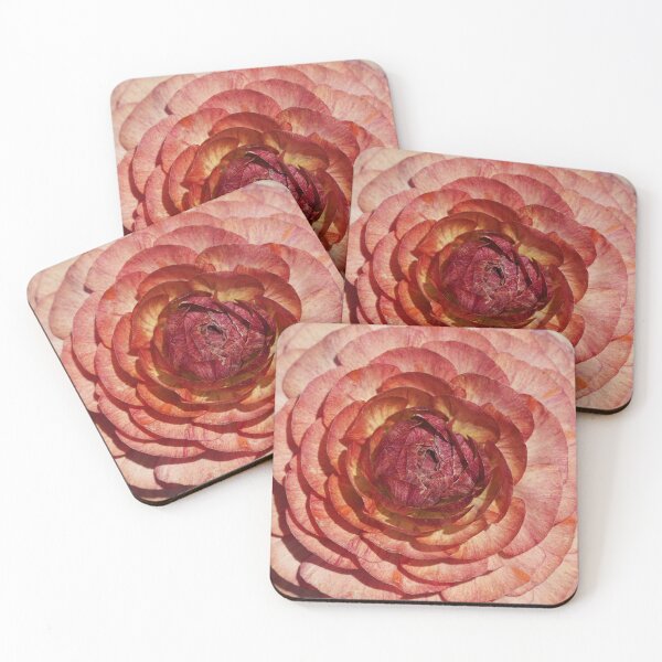 Item preview, Ranunculus blooming in the sun designed and sold by kreativejooce.