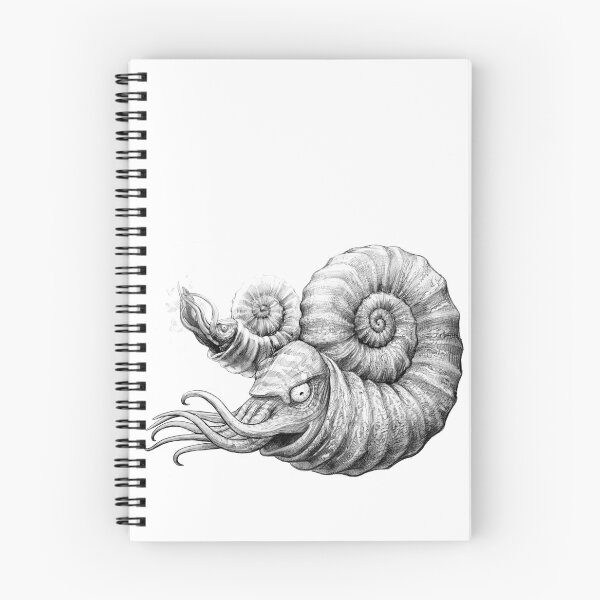 Item preview, Ammonites (in graphite) designed and sold by Doyle Trankina.